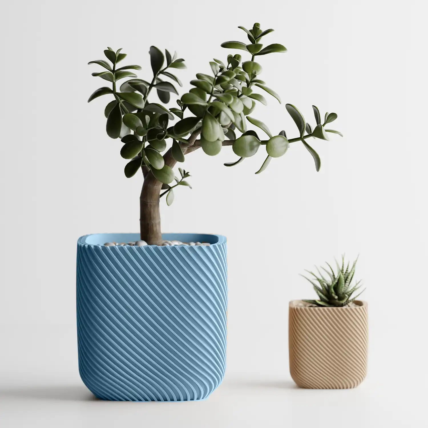 🌿 Cache-pot RIB