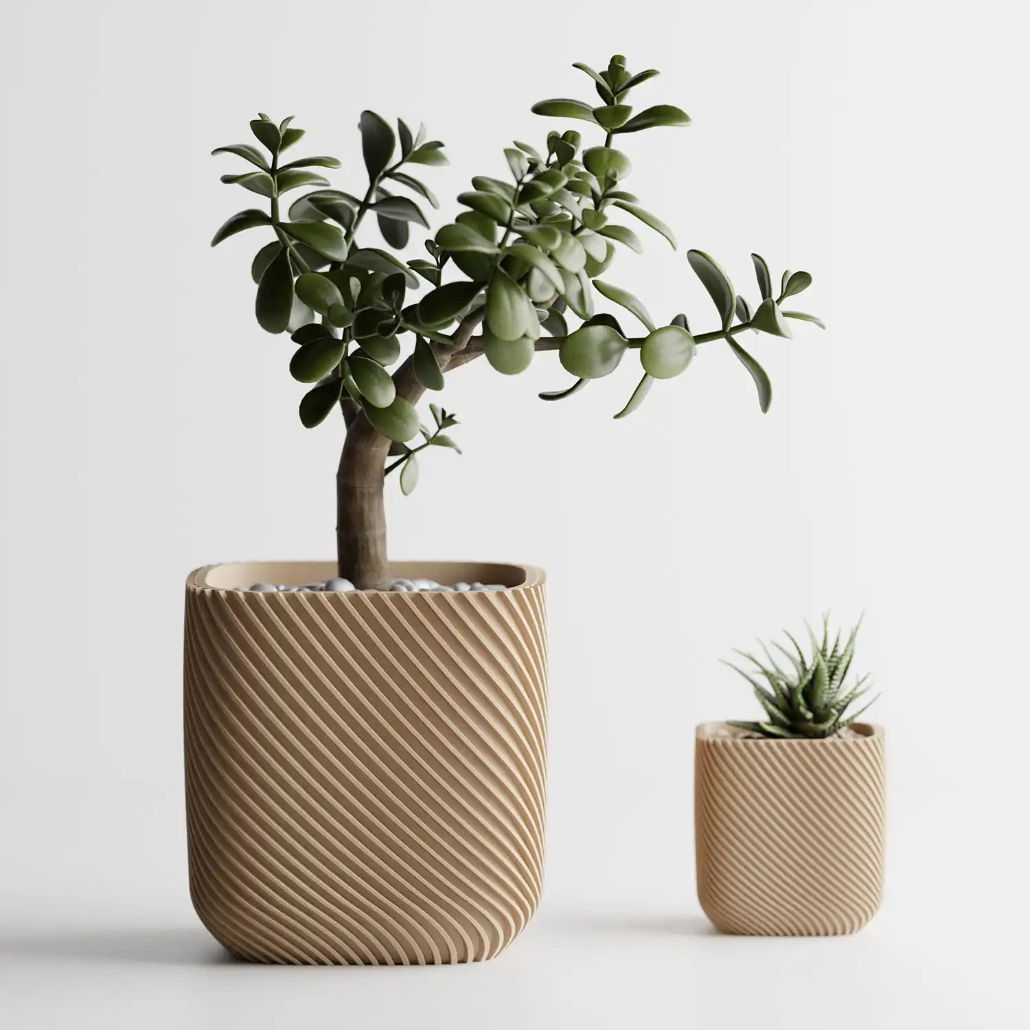 🌿 Cache-pot RIB