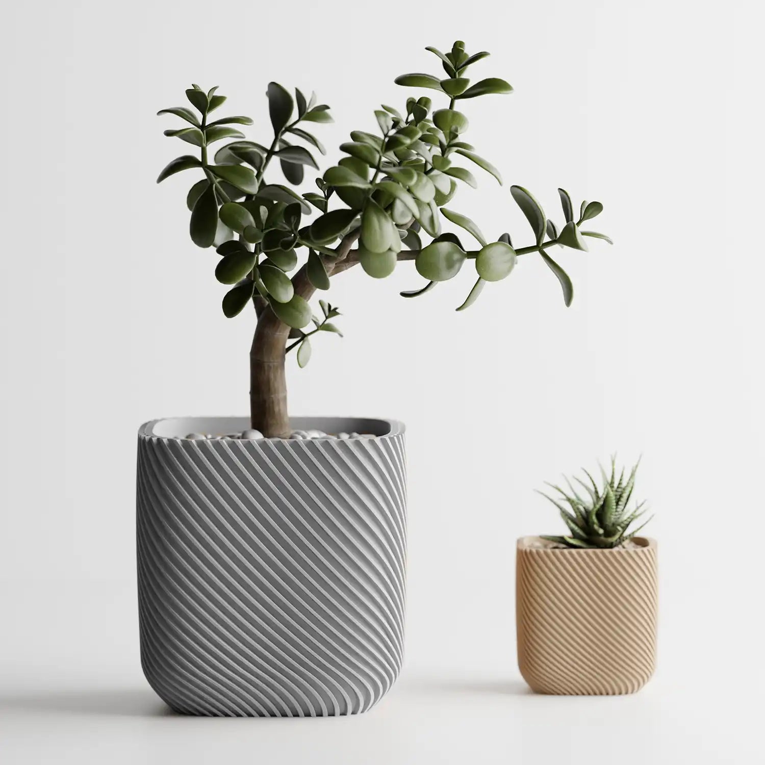 🌿 Cache-pot RIB