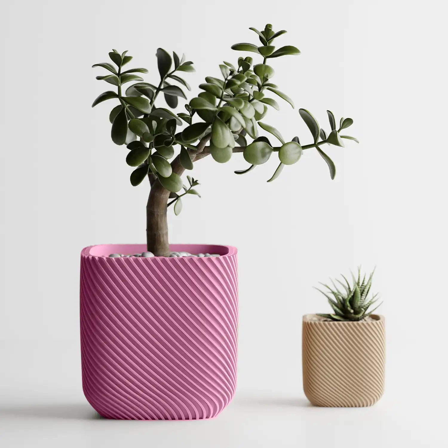 🌿 Cache-pot RIB