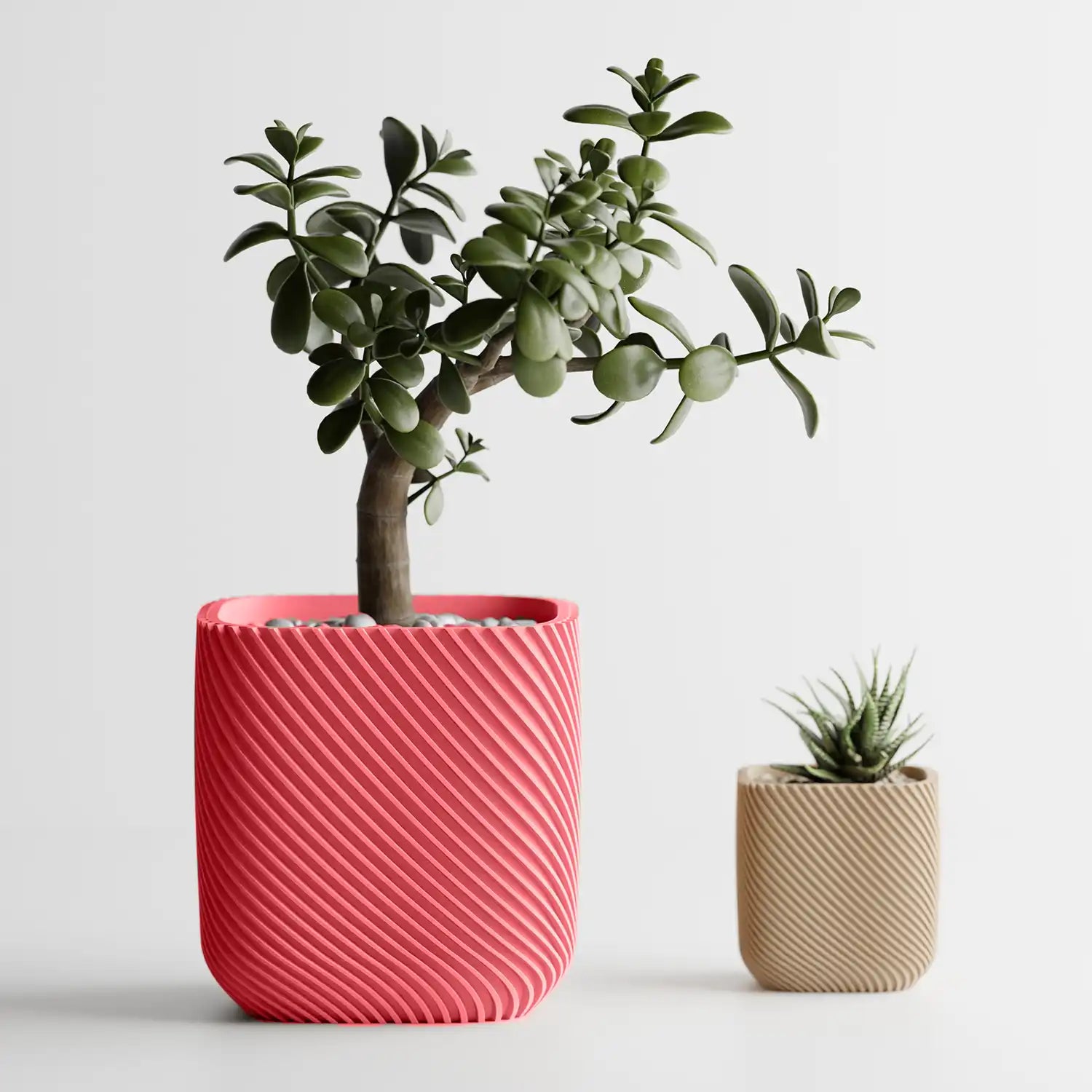 🌿 Cache-pot RIB