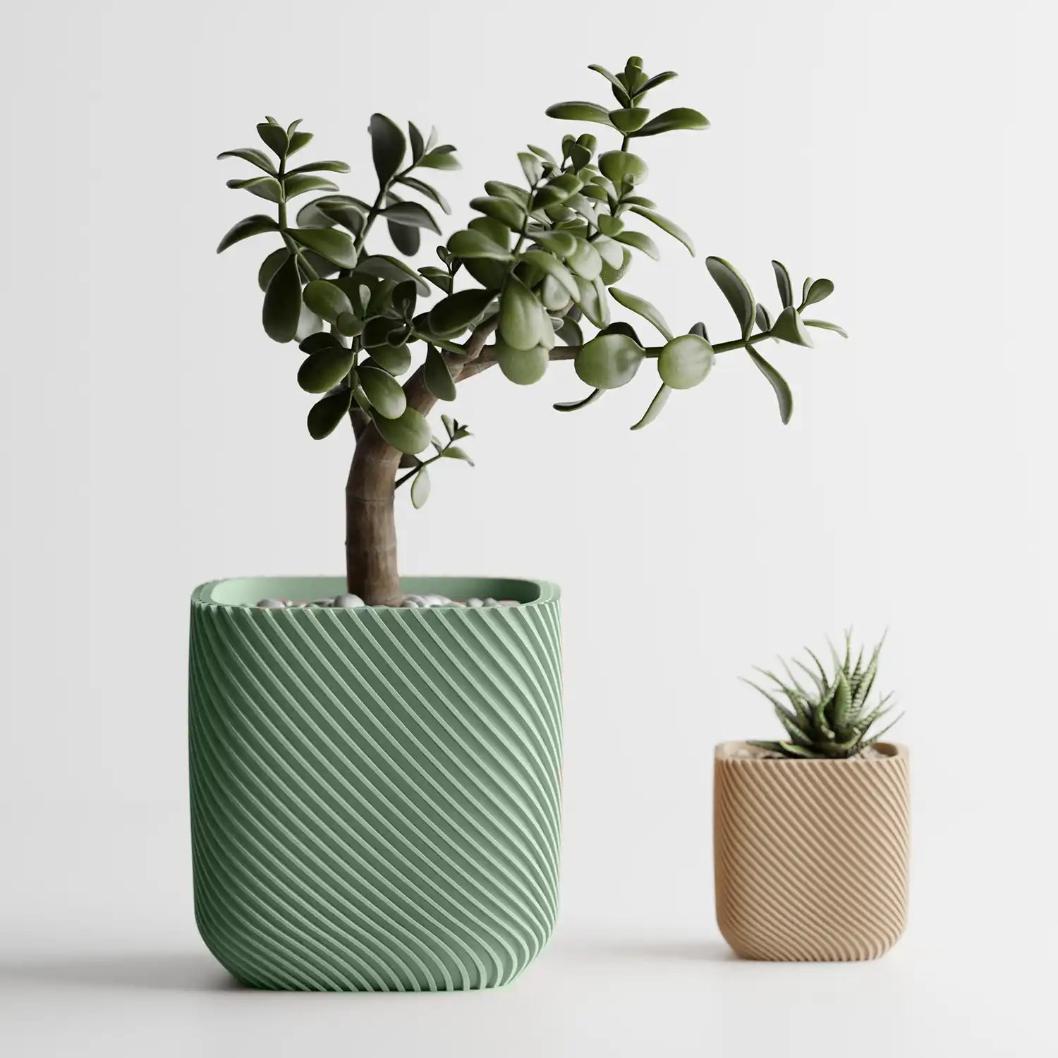 🌿 Cache-pot RIB