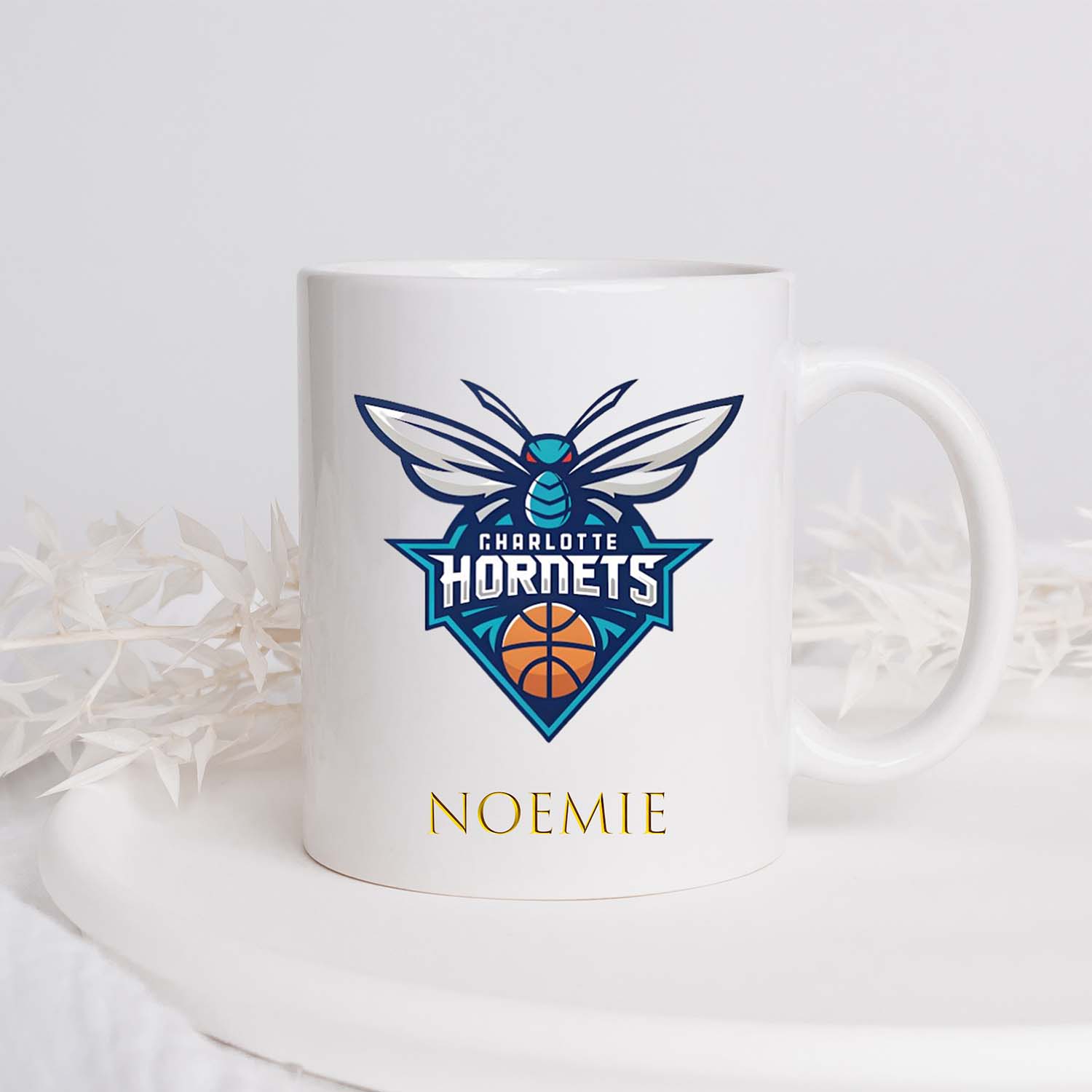 Charlotte Hornets