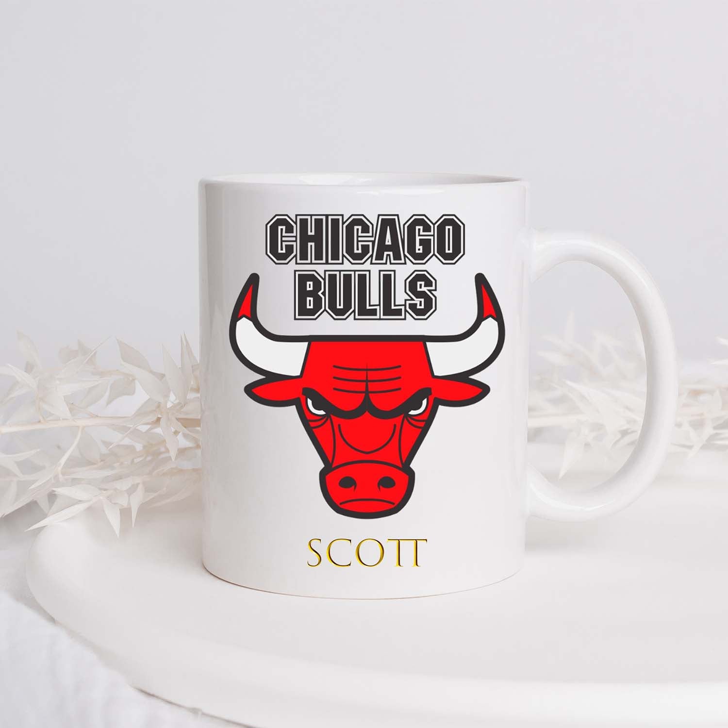 Chicago Bulls