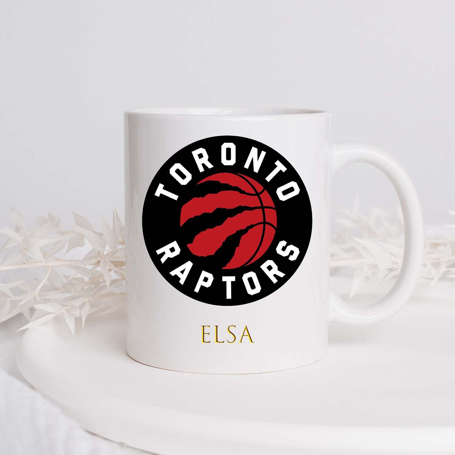 Toronto Raptors