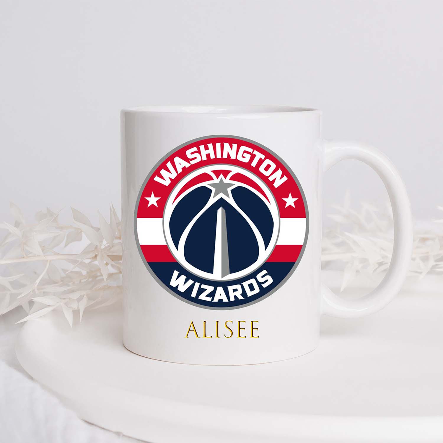 Washington Wizards